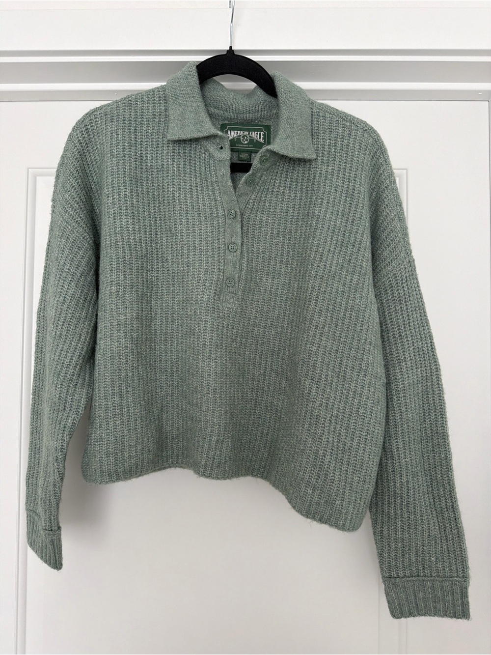 American Eagle Outfitters Light Sage Green Knit Polo Sweater